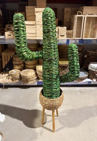 Macetero Mimbre y Cactus