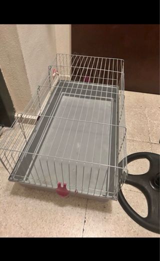 Jaula para cobayas/conejos