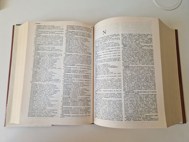 Dizionario Garzanti Francese