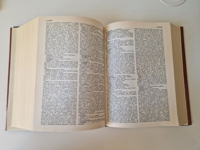 Dizionario Garzanti Francese