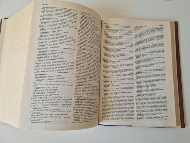 Dizionario Garzanti Francese