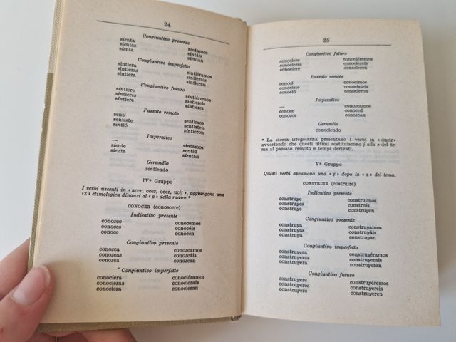 Dizionario Tascabile di Spagnolo