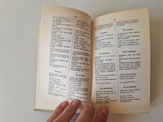 Dizionario Tascabile di Spagnolo