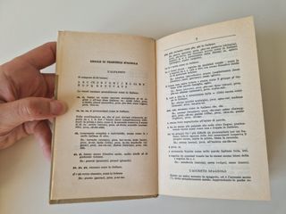 Dizionario Tascabile di Spagnolo