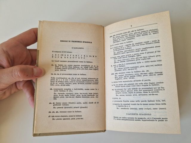 Dizionario Tascabile di Spagnolo