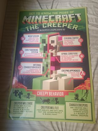 Póster Minecraft: Conoce al Creeper
