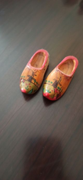 Zoccoli Olandesi Decorati