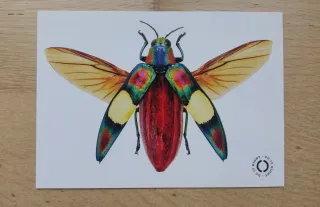 Lote postales variadas de arte y gastronomía