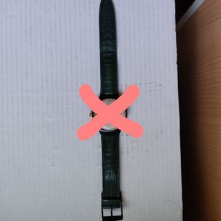 Cinturino Swatch x Chrono Rollerball Verde