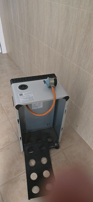 Calentador de gas