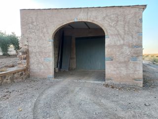 Olivar 
