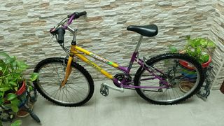 Bicicleta Montaña Desafío Amarilla y Morada