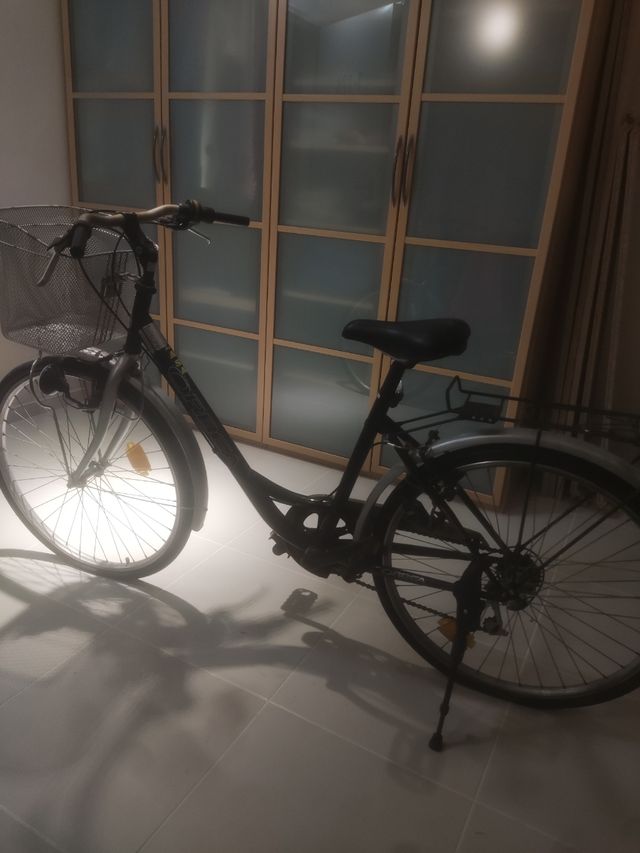 Bicicleta urbana con cesta