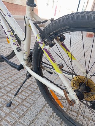Bicicleta Trek Skye Montaña 
