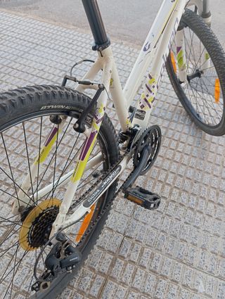 Bicicleta Trek Skye Montaña 