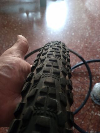 Dos Rines 29 y dos Cauchos Nuevos