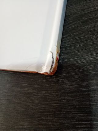 Enciclopedia de los animales, los elefantes