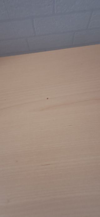 Mesa Ekedalen Ikea 80x120/180 Extensible. 
