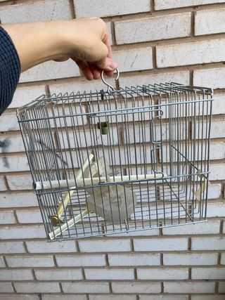 Jaula para pájaros plateada