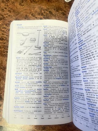 Dictionary Oxford Pocket Cat/Ing 2Nd Ed