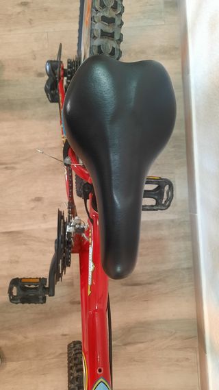 Bicicleta de Montaña Orbea Roja