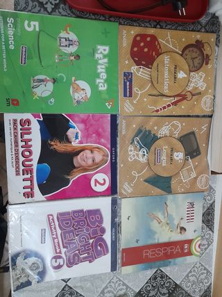 Lote libros primaria