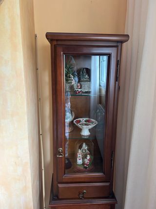 Vitrina de madera y cristal