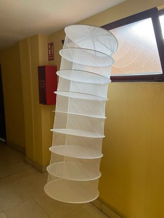 Kit cultivo indoor para principiantes