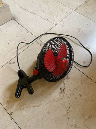 Kit cultivo indoor para principiantes