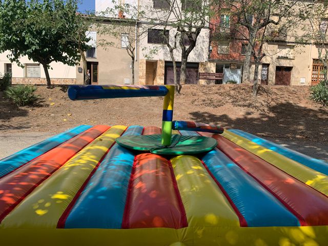 Castillo Hinchable deportivo, Palo Loco 