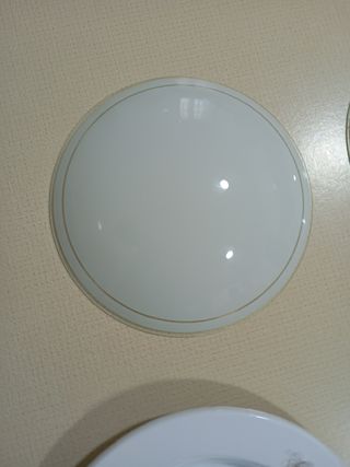 2 Plafones Techo Cristal y Plástico