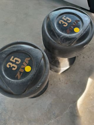 Mancuernas ZIVA 35 kg (par)