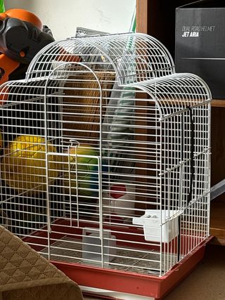 Jaula para loro