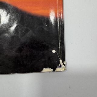 Lufia Guida Ufficiale SNES Tedesco