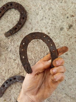 57 herraduras caballos