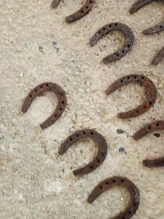 57 herraduras caballos