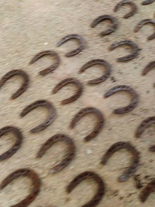 57 herraduras caballos