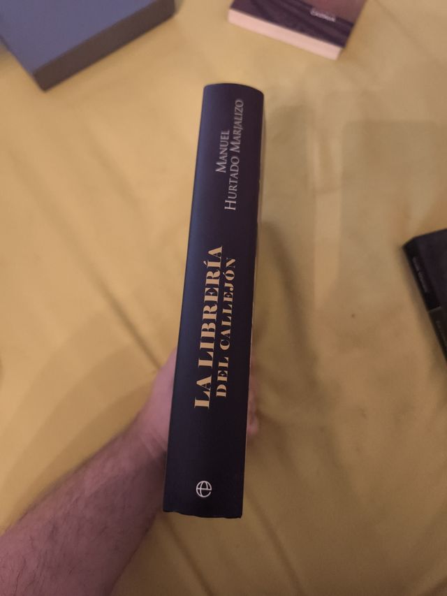 La librería del callejón: Un pintor en busca de...