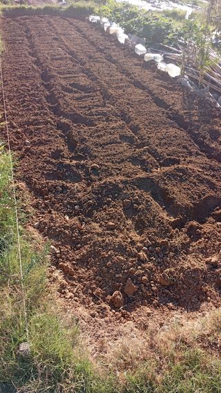 Terreno para cultivo.