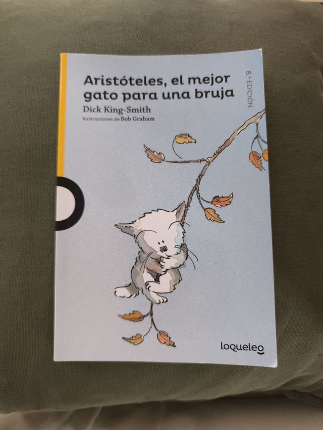 Aristóteles, el mejor gato para una bruja