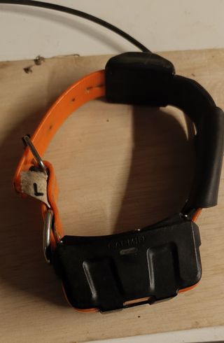 Collares garmin dc50