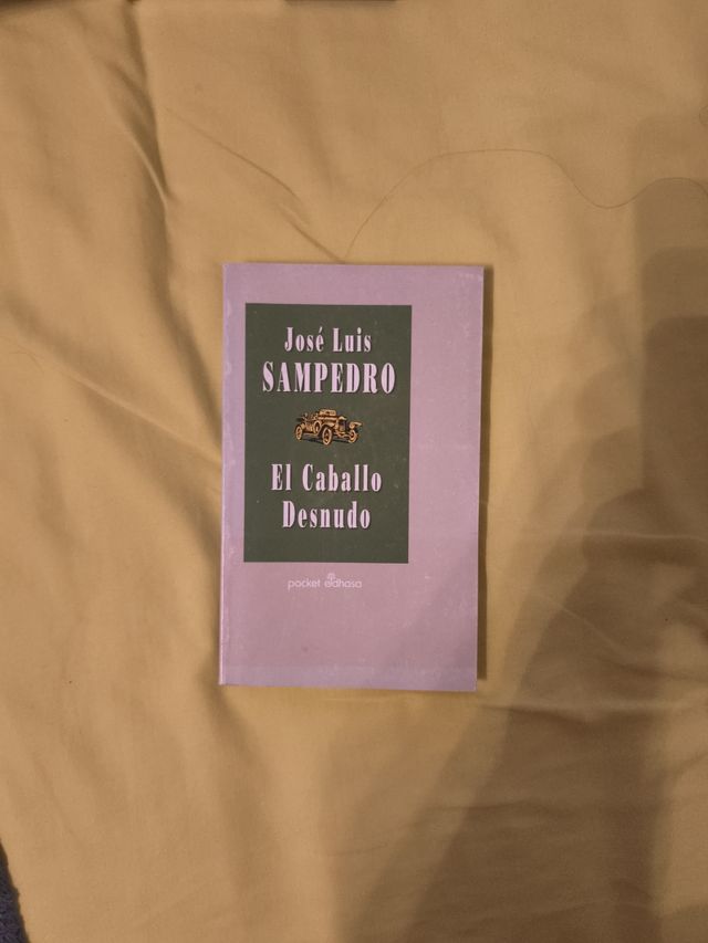 El caballo desnudo (Spanish Edition)