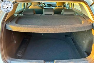 Volkswagen Golf 8 2.0 TDI 115CV 6vel. 2021