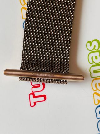 Apple Milanese Loop Oro 1a generación
