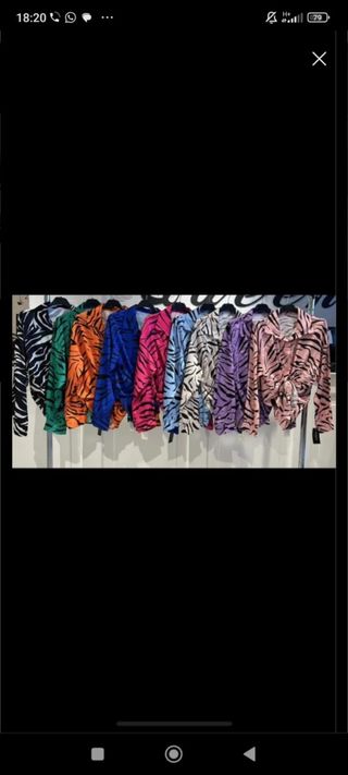 Camisa