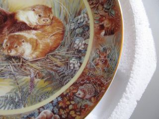 Piatto Bradex Davenport. Otter. Con scatola. 19 cm