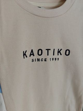 Sudadera Kaotiko Beige Multicolor