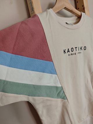 Sudadera Kaotiko Beige Multicolor