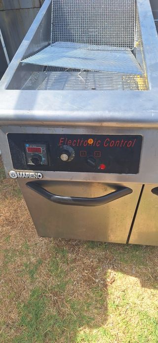 Freidora industrial profesional doble cubeta