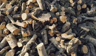 Wood for sale | Se vende leña